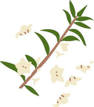 Load image into Gallery viewer, Men's KJUS Retention Vest - Navy